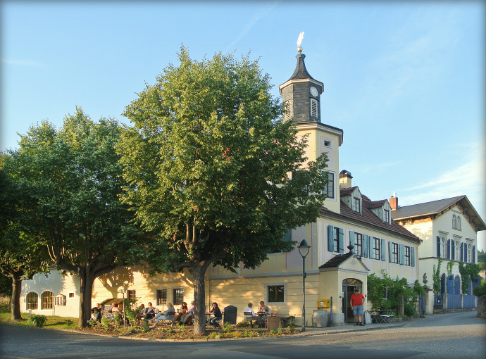  Wine culture and love of home in the heart of Oberlößnitz 