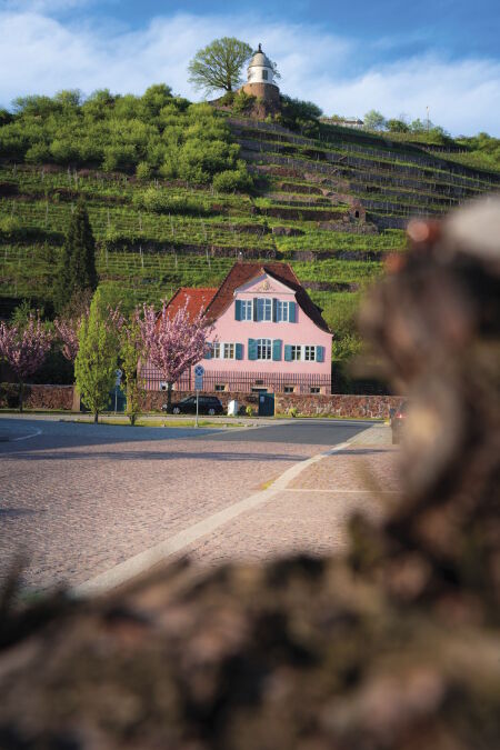 Weingut Fliegenwedel