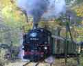 Steam railroad \