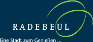Startseite Internetauftritt Radebeul