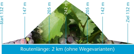 Elevation profile for the Oberlößnitz Route