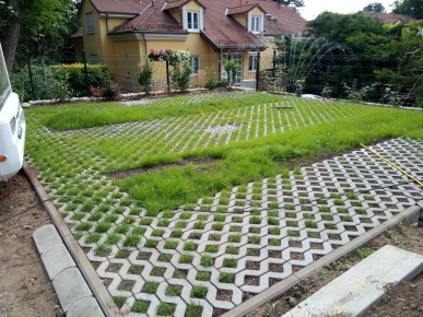 Pitch at the vineyard