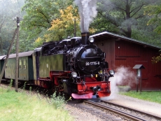 Narrow-gauge railway in the Lößnitzgrund Valley Lößnitzgrundbahn am Haltepunkt Lößnitzgrund, Radebeul
