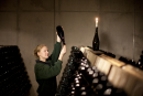  Guided tour of the sparkling wine factory 