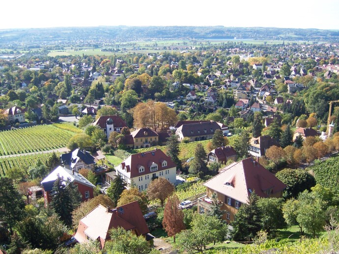  Hidden behind dense trees, you can still discover old vineyard walls and terr... 