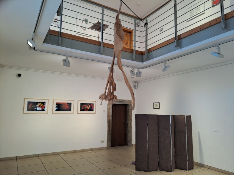 Aktuelle Ausstellung