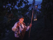  With the night watchman through the vineyard 