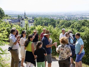 Gästeumfrage