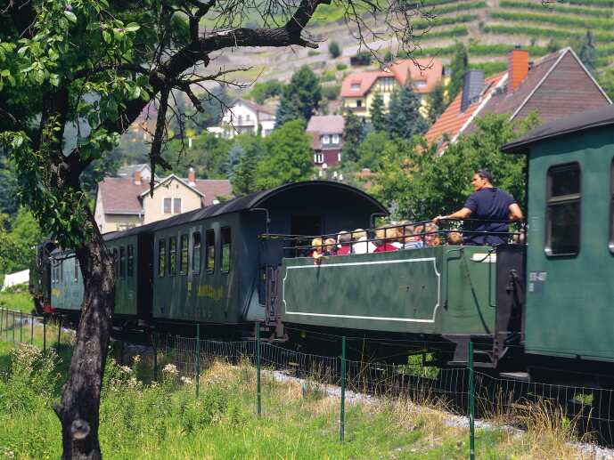  Mit dem sausenden Hefeballett im Lößnitzdackel 