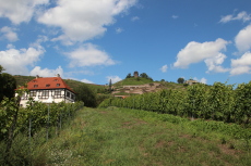 Blick auf das Sächsische Weinbaumuseum Hoflößnitz, Radebeul