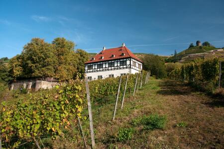 Weingut Hoflößnitz bei strahlendem Sonnenschein