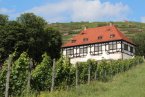 Hoflößnitz in denRadebeuler Weinbergen