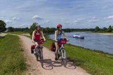 Elberadweg im Sommer in Radebeul