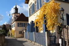 Weinbergstraße in Radebeul