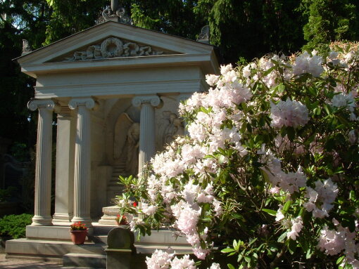  Seeing a cemetery with different eyes is a special experience. 