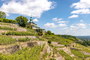 Sachsens Stadtschönheiten