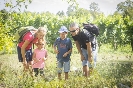 Turystyka piesza w Radebeul