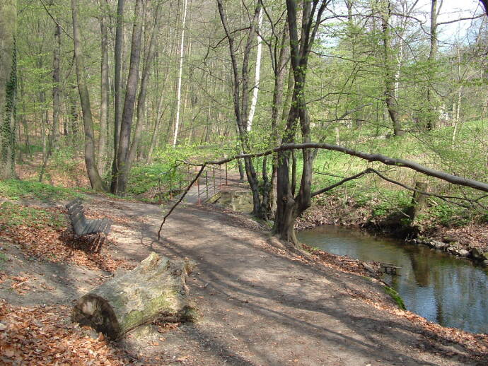  Starting at the stop of the narrow-gauge railway \