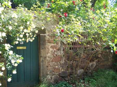 Am Weinwanderweg in der Niederlößnitz, Radebeul