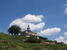 Das Spitzhaus Radebeul: Spitzengastronomie auf den Weinbergen