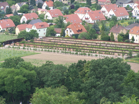 Talutanlagen in Radebeul