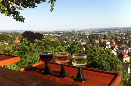 Aussicht vom Weinberg, Straußenwirtschaft Haselbusch