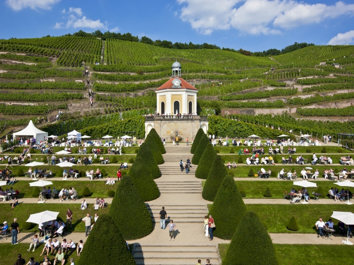  Kehren Sie ein in ein Weingut oder eine kleine Straußwirtschaft und genießen Sie ein Glas sächsischen Wein. 