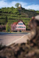  Entdecken Sie die Weinberge am Friedstein mit herrlichen Aussichten ins Elbtal 