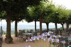 Blick auf die Terrassen des Spitzhauses, Radebeul