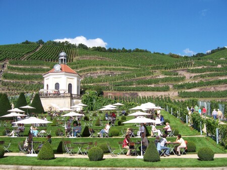 Schloß Wackerbarth, Radebeul, Terrassen mit Belvedere