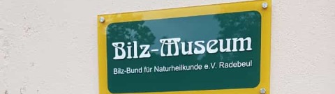 Bilzmuseum