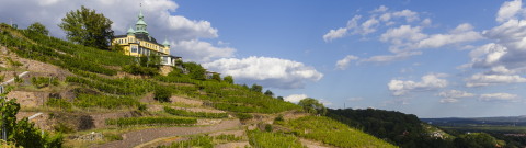 Spitzhaus und Weinberge