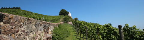 Blick zum Jacobstein