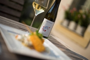 Weingut Kastler Friedland, Radebeul