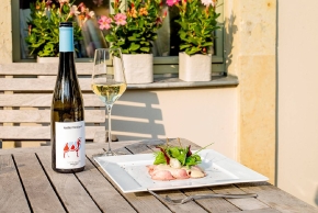 Weingut Kastler Friedland, Radebeul, Garten