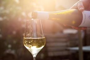 Weingut Kastler Friedland, Radebeul, Garten