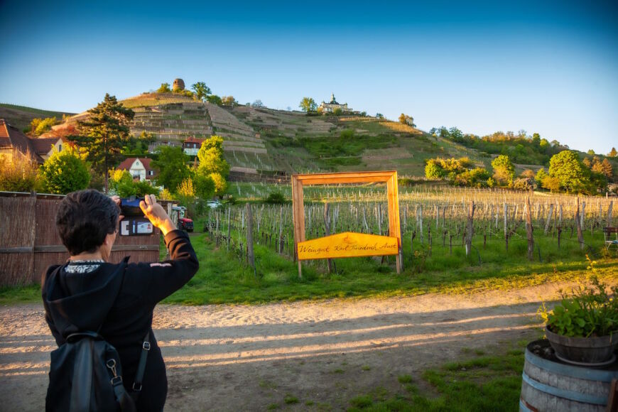  Culinary wine hike through Radebeul-Oberlößnitz 