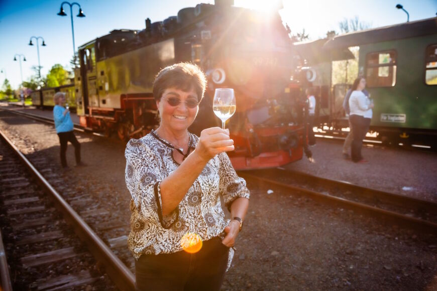  Voyage dans le Lößnitzgrundbahn avec dégustation de vin 