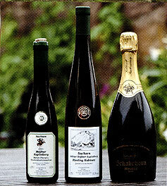 Weingut Schabehorn