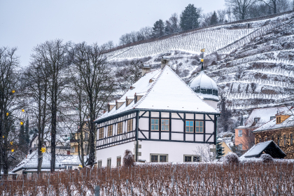 Hoflößnitz im Schnee