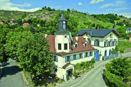 Weingut Aust im Sommer