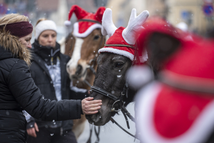 Vor dem kleinen Stall am Eingang des Weihnachtsmarktes stehen Ponys und warten darauf, mit Kindern eine Runde entlang des Weihnachtsmarktes zu drehen.  Auf dem Rücken der sanften Tiere können sich kleine Füße vom vielen Flanieren erholen und das bunte Treiben entspannt beobachten.