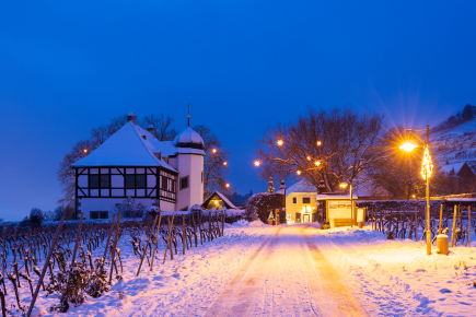 Weingut Hoflößnitz