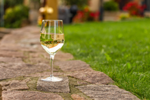 Wine & Pleasure
